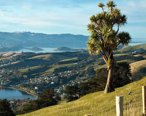 Dunedin North Otago Resource Group